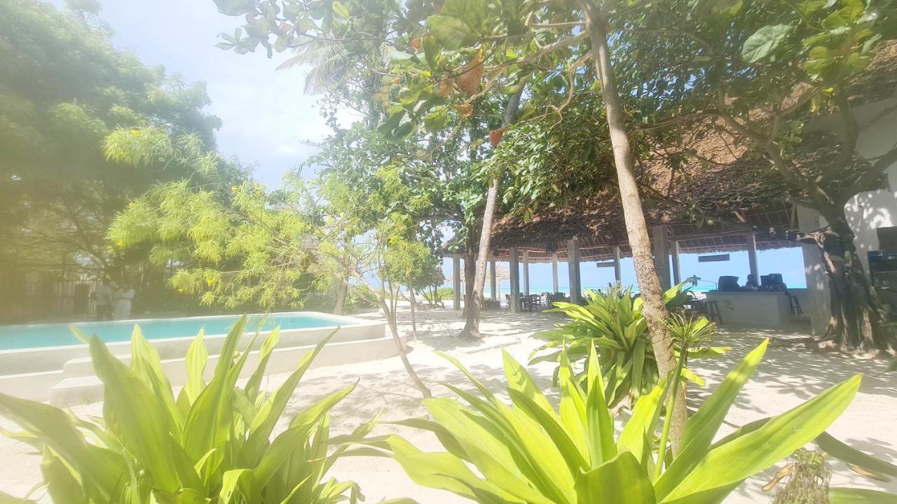 Garden Beach Bungalows Jambiani Джамбіані Екстер'єр фото